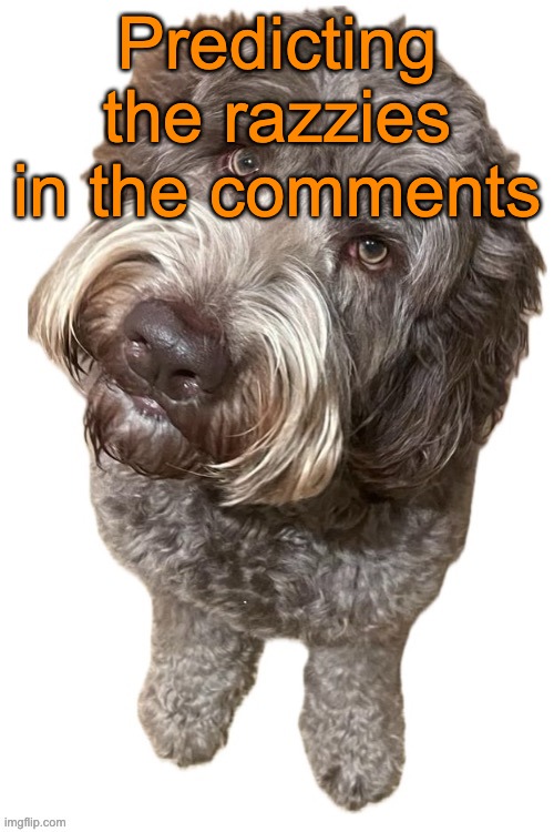 Norther's dog | Predicting the razzies in the comments | image tagged in norther's dog | made w/ Imgflip meme maker
