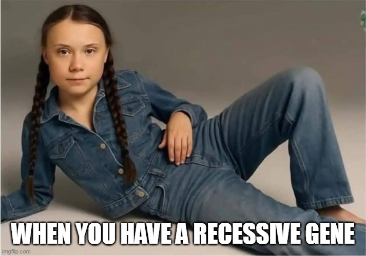 How dare you! | WHEN YOU HAVE A RECESSIVE GENE | image tagged in greta thunberg,triggered liberal | made w/ Imgflip meme maker