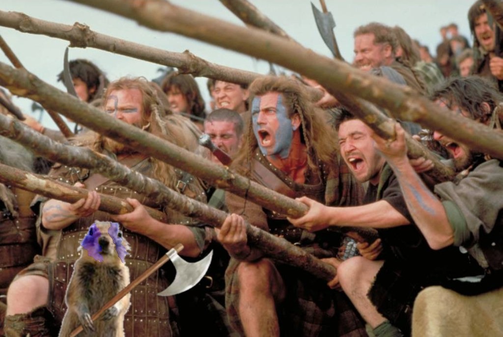 Braveheart Squirrel Blank Meme Template