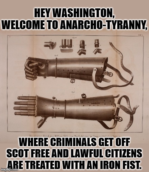 They refuse in indict rioters and convict murderers. | HEY WASHINGTON, WELCOME TO ANARCHO-TYRANNY, WHERE CRIMINALS GET OFF SCOT FREE AND LAWFUL CITIZENS ARE TREATED WITH AN IRON FIST. | image tagged in iron hand of g tz von berlichingen 1510 a d | made w/ Imgflip meme maker