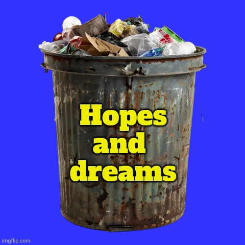 Where did they go? | Hopes
and 
dreams | image tagged in trash can,the future,making plans,you are as beautiful as the day i lost you | made w/ Imgflip meme maker