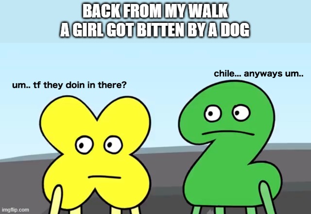 guh | BACK FROM MY WALK
A GIRL GOT BITTEN BY A DOG | image tagged in um tf they doing there chile anyways um tpot | made w/ Imgflip meme maker