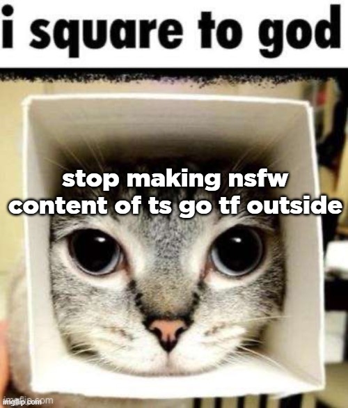 I square to god | stop making nsfw content of ts go tf outside | image tagged in i square to god | made w/ Imgflip meme maker