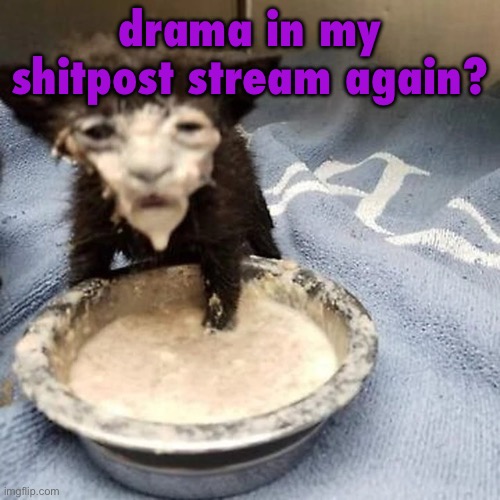 Pie :3 | drama in my shitpost stream again? | image tagged in pie 3 | made w/ Imgflip meme maker