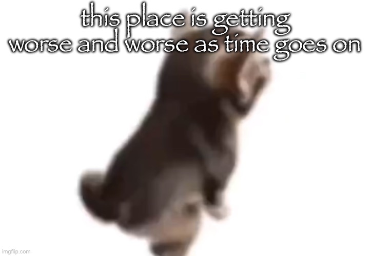 can’t wait for msmg site | this place is getting worse and worse as time goes on | image tagged in side el gatito | made w/ Imgflip meme maker