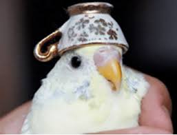 High Quality Birb Blank Meme Template