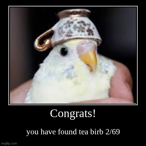 Congrats! | you have found tea birb 2/69 | image tagged in funny,demotivationals | made w/ Imgflip demotivational maker