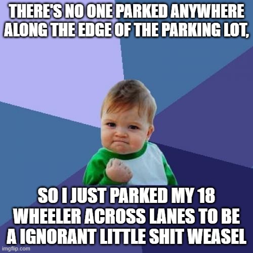 Success Kid Meme | THERE'S NO ONE PARKED ANYWHERE ALONG THE EDGE OF THE PARKING LOT, SO I JUST PARKED MY 18 WHEELER ACROSS LANES TO BE A IGNORANT LITTLE SHIT WEASEL | image tagged in memes,success kid | made w/ Imgflip meme maker