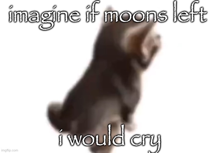 Side el gatito | imagine if moons left; i would cry | image tagged in side el gatito | made w/ Imgflip meme maker