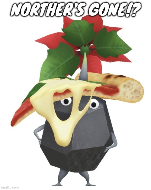 Pizza rock pikmin | NORTHER'S GONE!? | image tagged in pizza rock pikmin | made w/ Imgflip meme maker