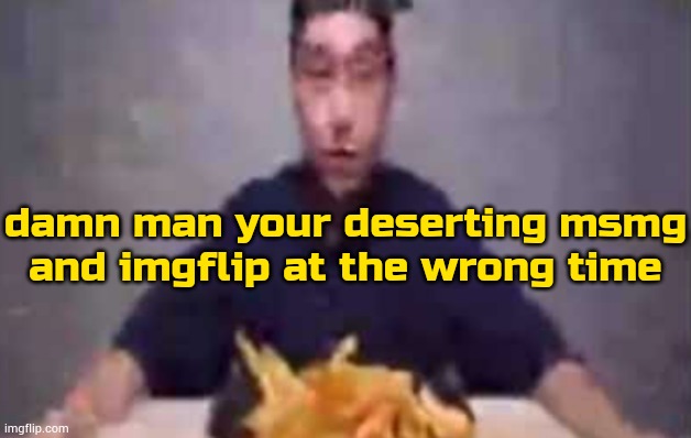 are these fries | damn man your deserting msmg and imgflip at the wrong time | image tagged in are these fries | made w/ Imgflip meme maker