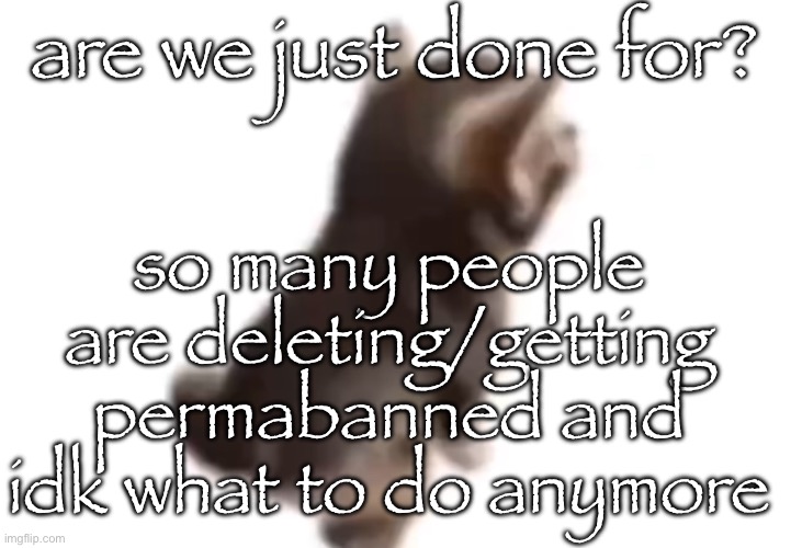 the only thing i have left outside of this site is toady, i don’t want to lose anyone else | are we just done for? so many people are deleting/getting permabanned and idk what to do anymore | image tagged in side el gatito | made w/ Imgflip meme maker