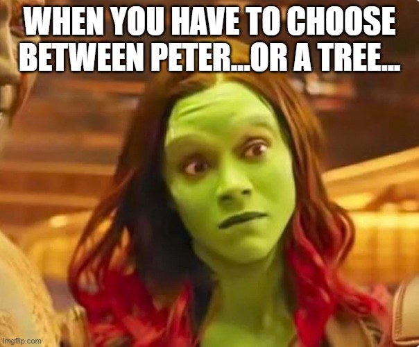Nebula's Line | WHEN YOU HAVE TO CHOOSE BETWEEN PETER...OR A TREE... | image tagged in gamora,nebula,endgame | made w/ Imgflip meme maker
