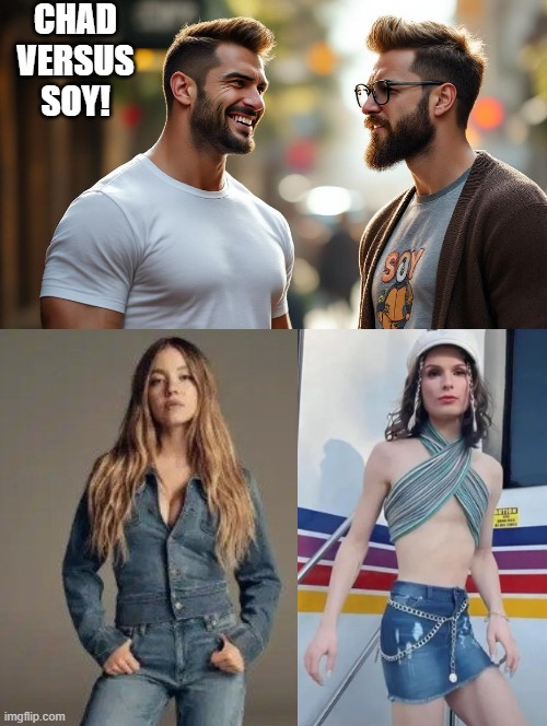 Chad versus Soy! | CHAD VERSUS SOY! | image tagged in soyboy vs yes chad | made w/ Imgflip meme maker