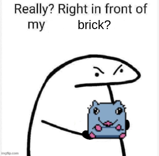 Really? Right in front of my | brick? | image tagged in really right in front of my | made w/ Imgflip meme maker