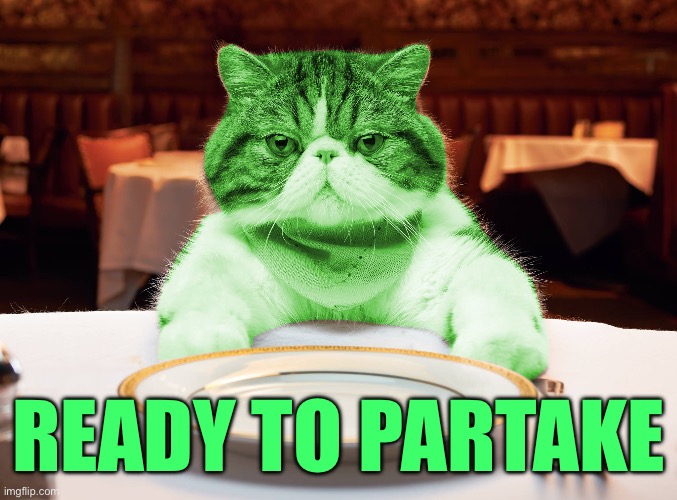 RayCat Hungry | READY TO PARTAKE | image tagged in raycat hungry | made w/ Imgflip meme maker