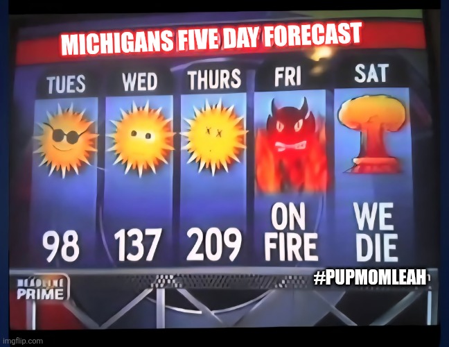 Michigan 5 day forecast ? | MICHIGANS FIVE DAY FORECAST; #PUPMOMLEAH | image tagged in michigan,fun,funny,funny memes,hahaha | made w/ Imgflip meme maker