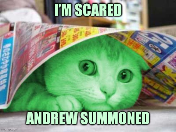RayCat Scared | I’M SCARED ANDREW SUMMONED | image tagged in raycat scared | made w/ Imgflip meme maker