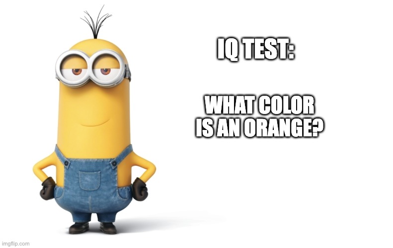 If You Say Orange, Your Wrong. It's a Tangerine You Minded Freak! | IQ TEST:; WHAT COLOR IS AN ORANGE? | image tagged in memes,funny memes,minions,minion,iq | made w/ Imgflip meme maker