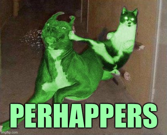 RayCat kicking RayDog | PERHAPPERS | image tagged in raycat kicking raydog | made w/ Imgflip meme maker