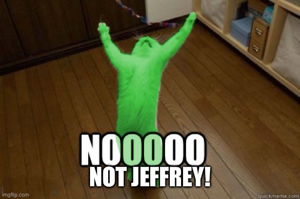 RayCat Noooooo | NOT JEFFREY! | image tagged in raycat noooooo | made w/ Imgflip meme maker