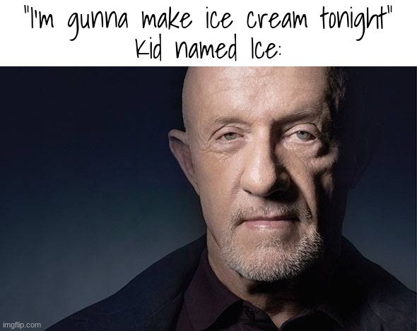 Kid Named | "I'm gunna make ice cream tonight"
Kid named Ice: | image tagged in kid named | made w/ Imgflip meme maker