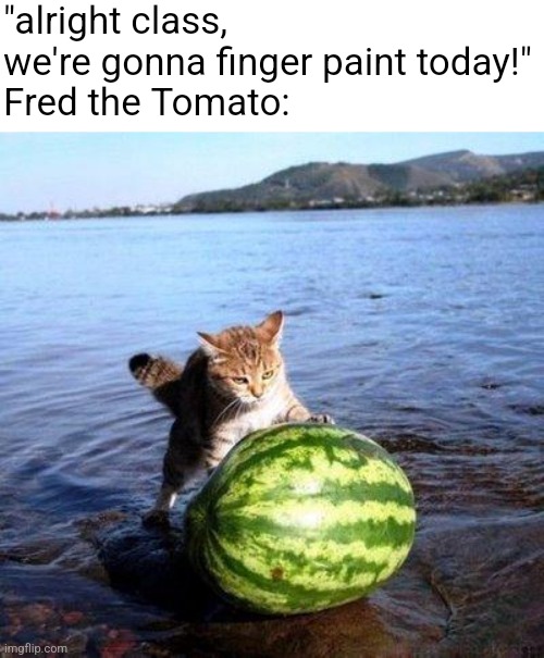 Argument invalid watermelon cat | "alright class, we're gonna finger paint today!"
Fred the Tomato: | image tagged in argument invalid watermelon cat | made w/ Imgflip meme maker