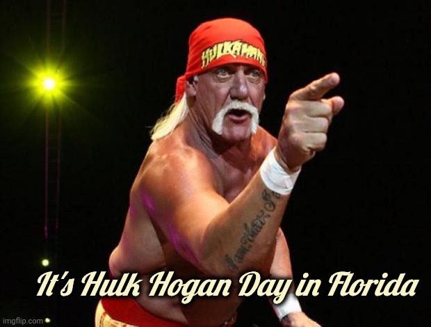 Hulk Hogan | It's Hulk Hogan Day in Florida | image tagged in hulk hogan | made w/ Imgflip meme maker