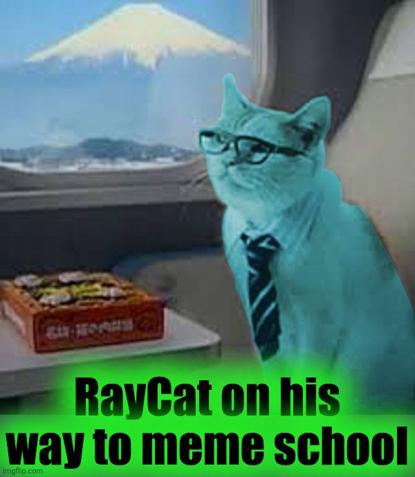 Teach me, Senpai | RayCat on his way to meme school | image tagged in raycat on fuji train,teach me senpai,meme school,bullet train,shinkansen,domo arigato | made w/ Imgflip meme maker