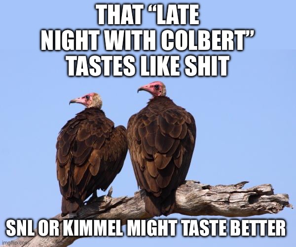 Vultures | THAT “LATE NIGHT WITH COLBERT” TASTES LIKE SHIT; SNL OR KIMMEL MIGHT TASTE BETTER | image tagged in vultures,politics,political meme,late night,stephen colbert,jimmy kimmel | made w/ Imgflip meme maker