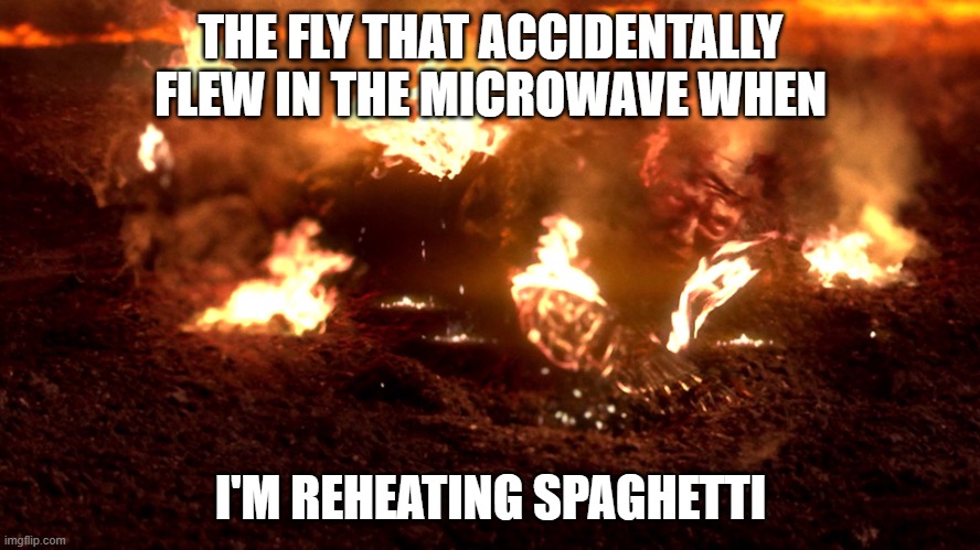 The fly | THE FLY THAT ACCIDENTALLY FLEW IN THE MICROWAVE WHEN; I'M REHEATING SPAGHETTI | image tagged in anakin burning | made w/ Imgflip meme maker