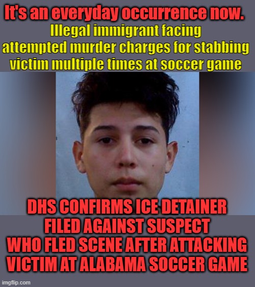 Deport um all. | It's an everyday occurrence now. Illegal immigrant facing attempted murder charges for stabbing victim multiple times at soccer game; DHS CONFIRMS ICE DETAINER FILED AGAINST SUSPECT WHO FLED SCENE AFTER ATTACKING VICTIM AT ALABAMA SOCCER GAME | made w/ Imgflip meme maker