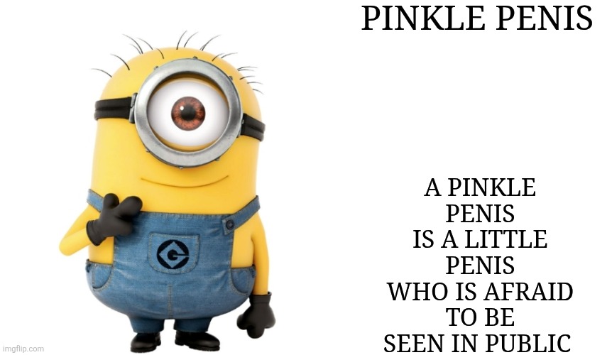 New Phrase IDK | PINKLE PENIS; A PINKLE PENIS IS A LITTLE PENIS WHO IS AFRAID TO BE SEEN IN PUBLIC | image tagged in minion meme generator | made w/ Imgflip meme maker