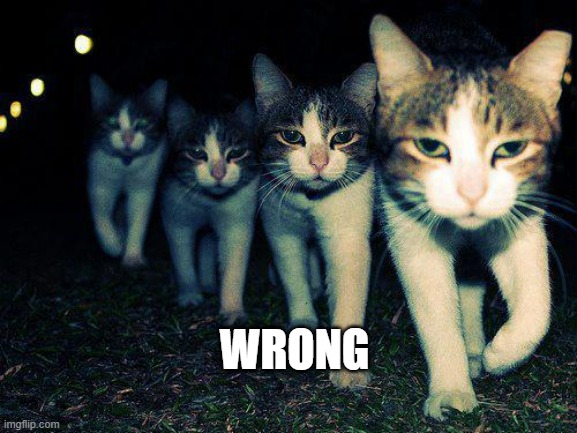 Wrong Neighboorhood Cats Meme | WRONG | image tagged in memes,wrong neighboorhood cats | made w/ Imgflip meme maker