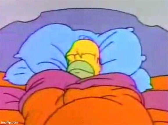 Homer bed | image tagged in homer bed | made w/ Imgflip meme maker
