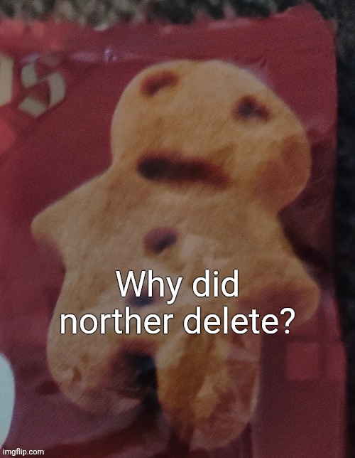 Cookie | Why did norther delete? | image tagged in cookie | made w/ Imgflip meme maker
