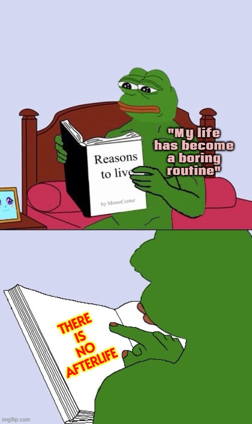 There Is No Afterlife | "My life
has become
a boring
routine"; THERE
IS
NO
AFTERLIFE | image tagged in blank pepe reasons to live,anti-religion,god religion universe,universe,god,atheism | made w/ Imgflip meme maker