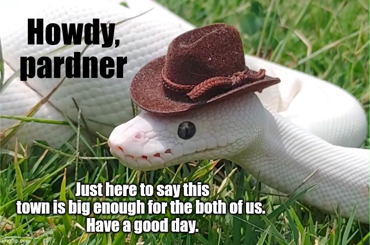 White Snake Cowboy | Howdy, pardner; Just here to say this town is big enough for the both of us. 
Have a good day. | image tagged in white,snake,snakes,cowboy,cowboy wisdom,friends | made w/ Imgflip meme maker