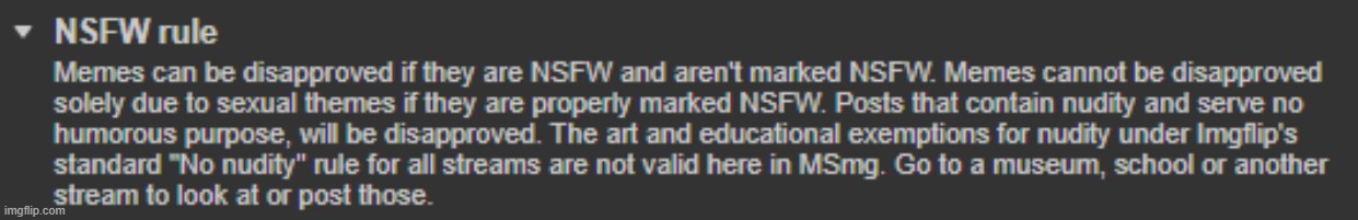 'Memes can be dissaproved soley due to sexual themes if properly marked nsfw" so yeah i can do it dumbass read the rules | made w/ Imgflip meme maker
