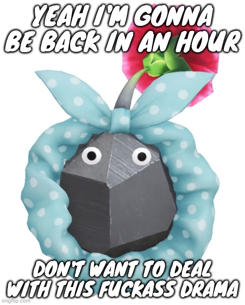 Scrunchie rock pikmin | YEAH I'M GONNA BE BACK IN AN HOUR; DON'T WANT TO DEAL WITH THIS FUCKASS DRAMA | image tagged in scrunchie rock pikmin | made w/ Imgflip meme maker