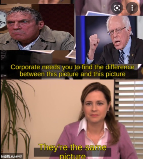 Howard Beal & Bernie | image tagged in tell me the difference | made w/ Imgflip meme maker
