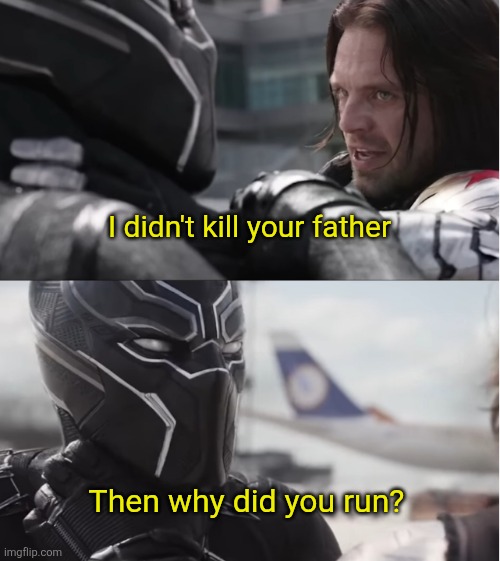Then why did you run? | I didn't kill your father; Then why did you run? | image tagged in bucky said he's not killing t'challa's father | made w/ Imgflip meme maker