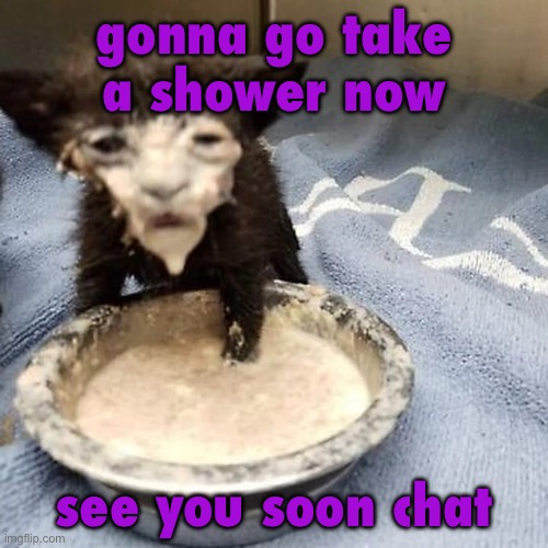 Pie :3 | gonna go take a shower now; see you soon chat | image tagged in pie 3 | made w/ Imgflip meme maker
