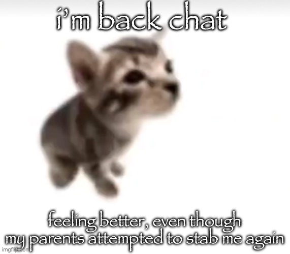 El gatito | i’m back chat; feeling better, even though my parents attempted to stab me again | image tagged in el gatito | made w/ Imgflip meme maker