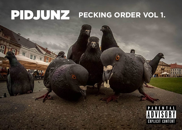 High Quality PIDJUNZ: Pecking Order Vol 1. Blank Meme Template