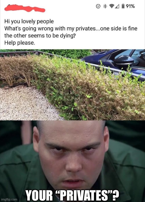 Picture of Privates | YOUR “PRIVATES”? | image tagged in private pyle in the zone,spelling,privet,private,picture,you had one job | made w/ Imgflip meme maker