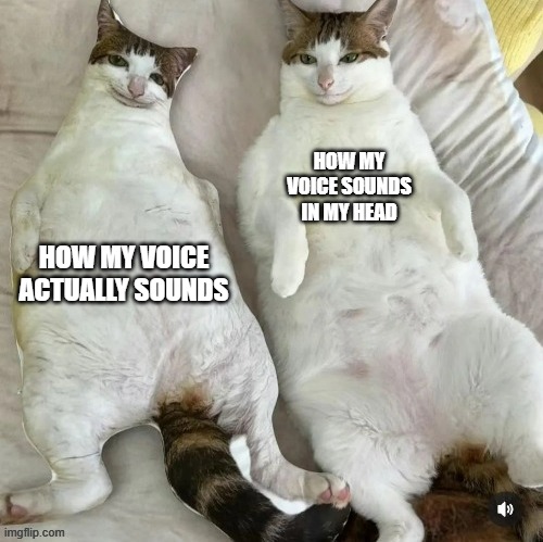HOW MY VOICE SOUNDS IN MY HEAD HOW MY VOICE ACTUALLY SOUNDS | made w/ Imgflip meme maker