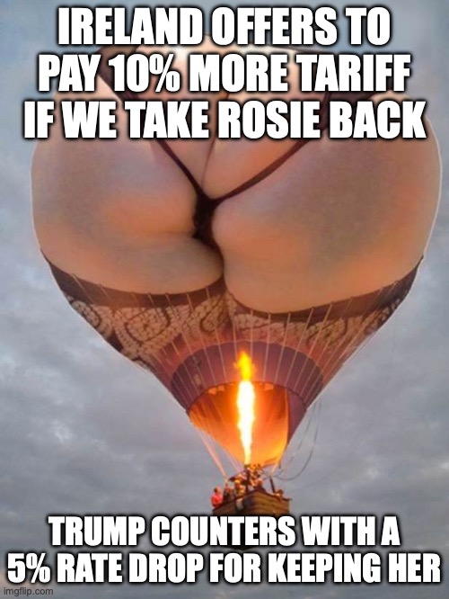 Look! In the sky! It's Rosie O'Donnell! | IRELAND OFFERS TO PAY 10% MORE TARIFF IF WE TAKE ROSIE BACK; TRUMP COUNTERS WITH A 5% RATE DROP FOR KEEPING HER | image tagged in look in the sky it's rosie o'donnell | made w/ Imgflip meme maker