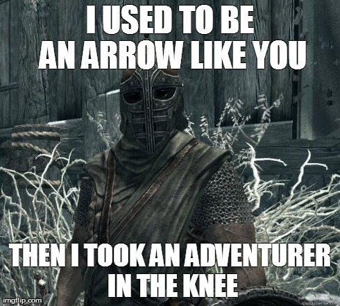 SkyrimGuard | I USED TO BE AN ARROW LIKE YOU THEN I TOOK AN ADVENTURER IN THE KNEE | image tagged in skyrimguard | made w/ Imgflip meme maker
