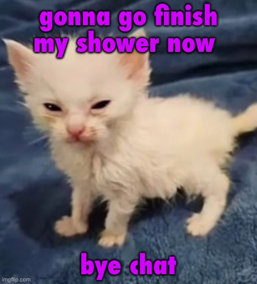 Car :3 | gonna go finish my shower now; bye chat | image tagged in car 3 | made w/ Imgflip meme maker